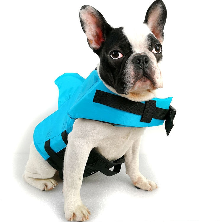 Shark Dog Life Vest – Fun and Safety for Summer Adventures