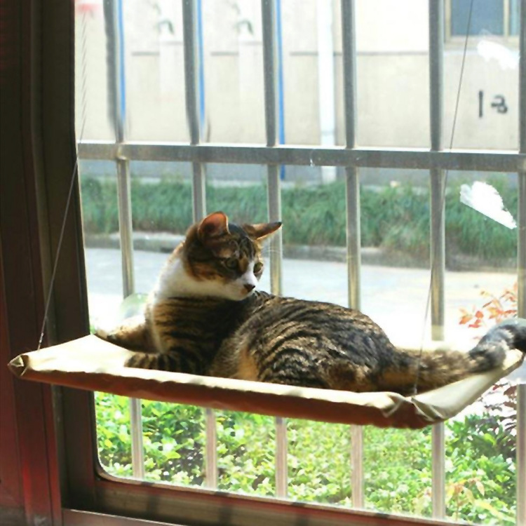 Heavy-Duty Cat Window Bed Perch – Durable and Spacious